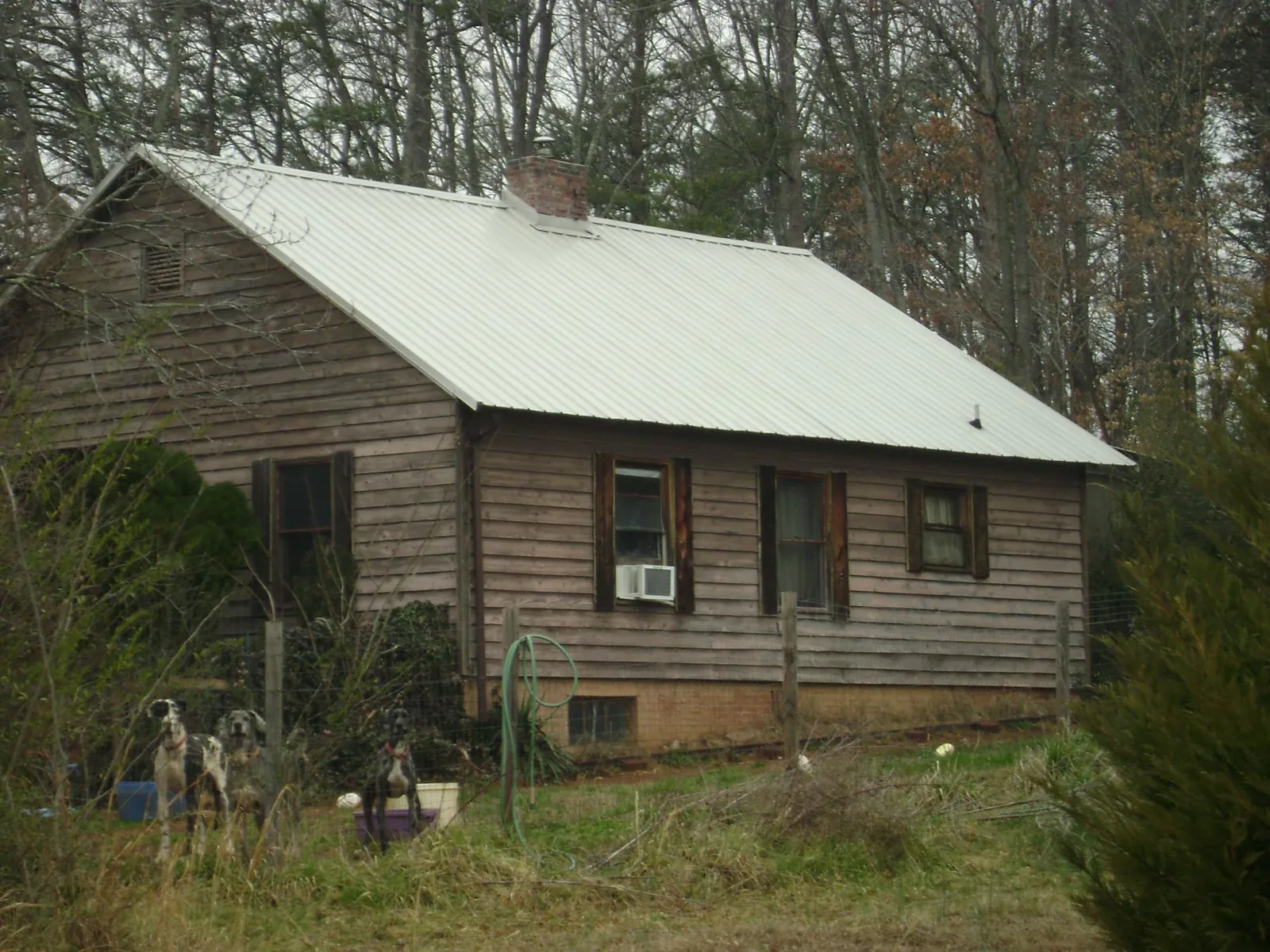White metal roof on an old wood sided farmhouse, from a Asphalt Shingle Roof Repair job in Mesa